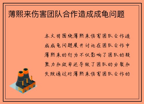 薄熙来伤害团队合作造成成龟问题